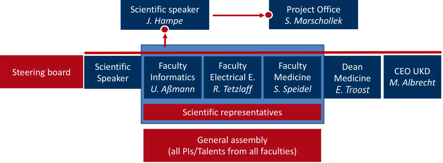 EKFZ Governance Structure