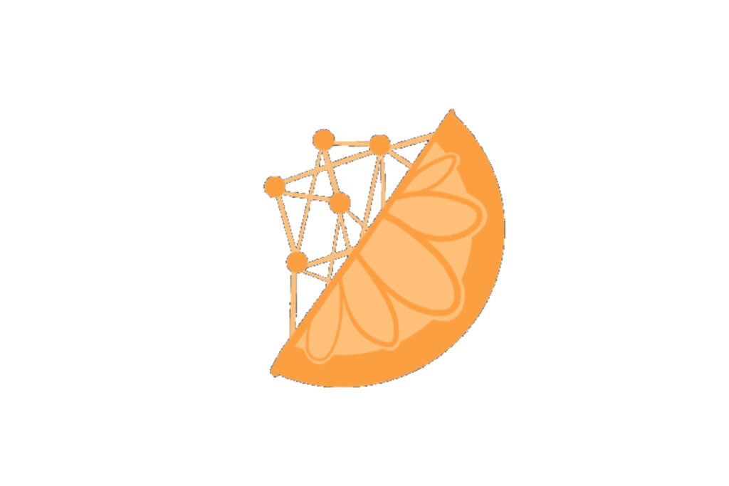 half of an orange with connected dots like a network on top