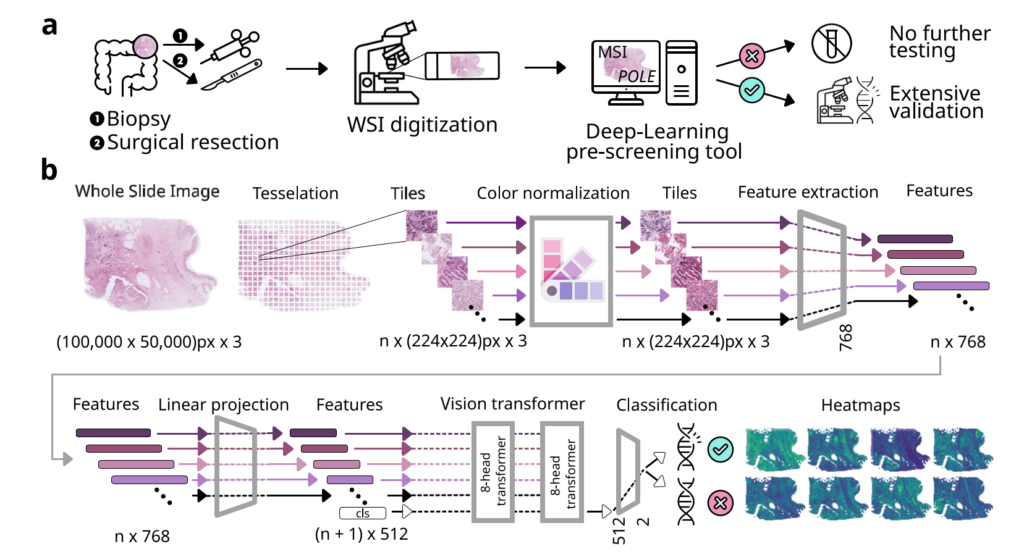 Image illustrates experimental workflow and belongs to scientific publication